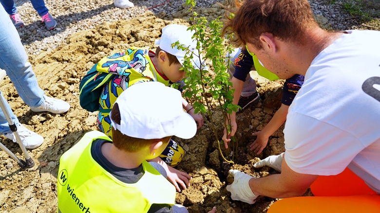 L’iniziativa di Wienerberger per la giornata della biodiversità