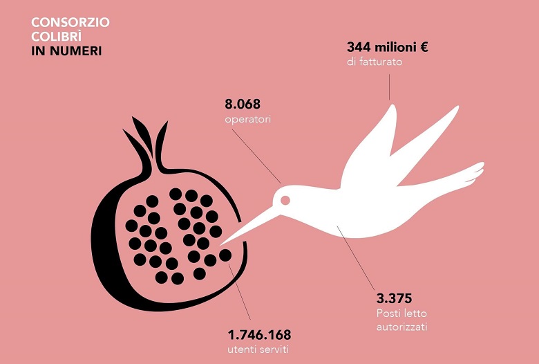 I numeri del Consorzio Colibrì