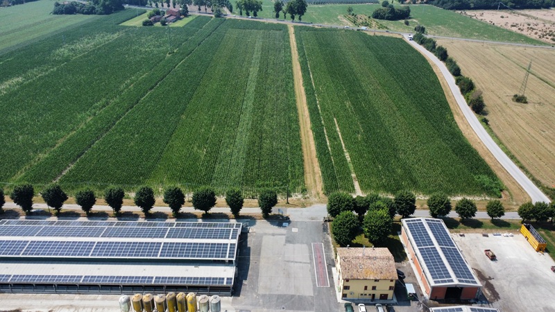 Inalca, allevamenti Corticella