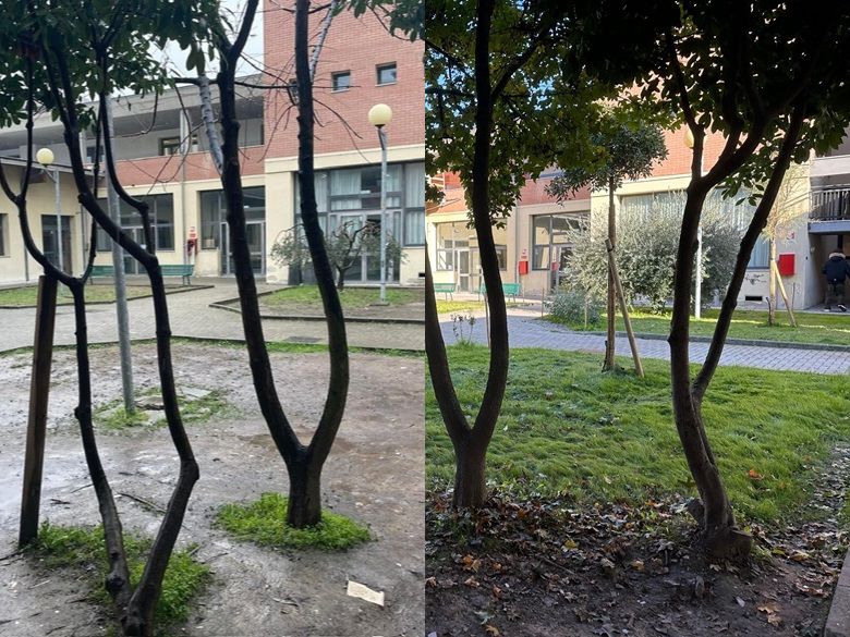 Il prima e il dopo dell'EcoGiardino