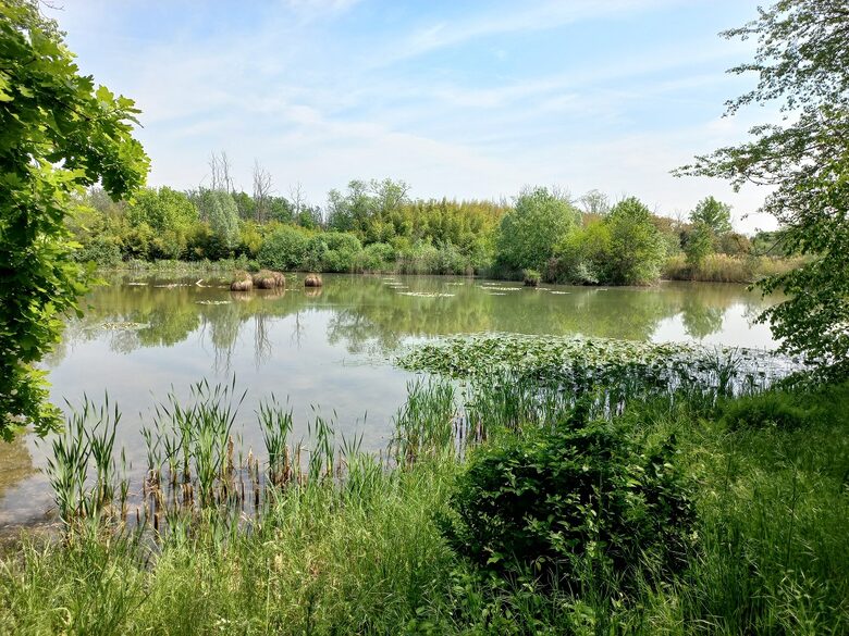 Uno scorcio dell'oasi di Vanzago (Milano)